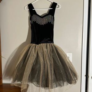 Stunning Moonlight Costume